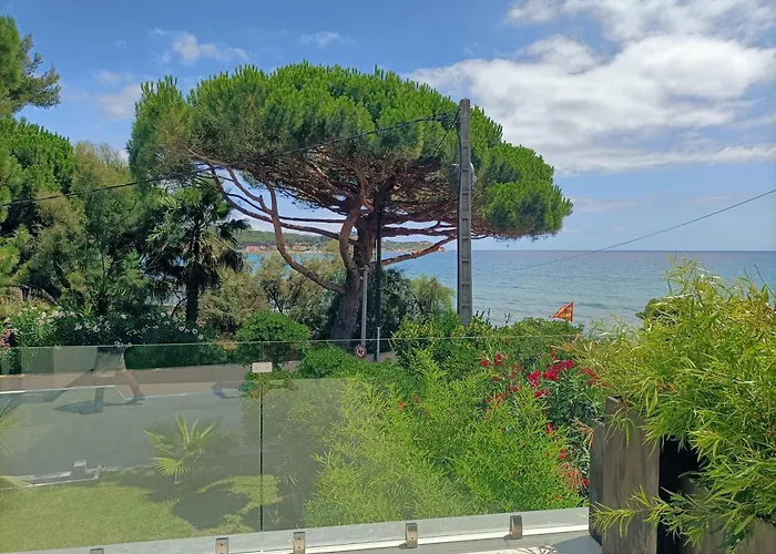 Vue Et Emplacement D'exception A 20 M De La Des Sablettes Villa La Seyne-sur-Mer